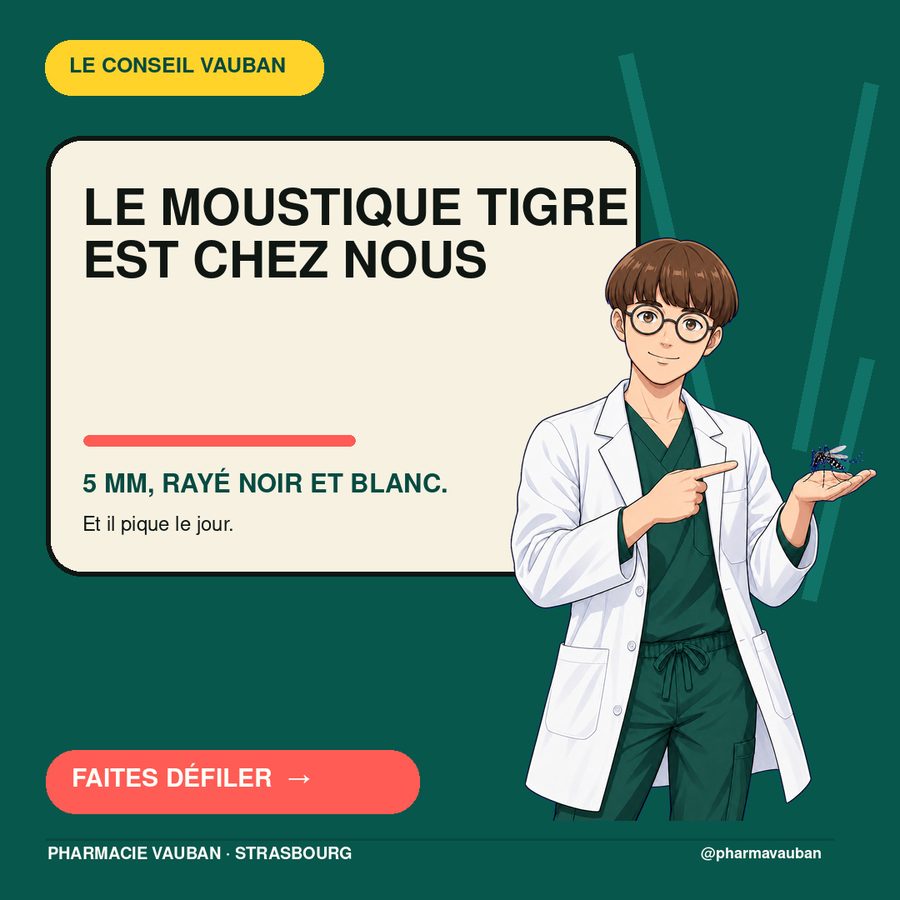 Le moustique tigre n'a pas besoin d'une piscine : une soucoupe, un seau ou un arrosoir avec un fond d'eau lui suffisent pour se développer. Le bon réflexe, une fois par semaine : vider les soucoupes, retourner les seaux et les arrosoirs, vérifier les gouttières.