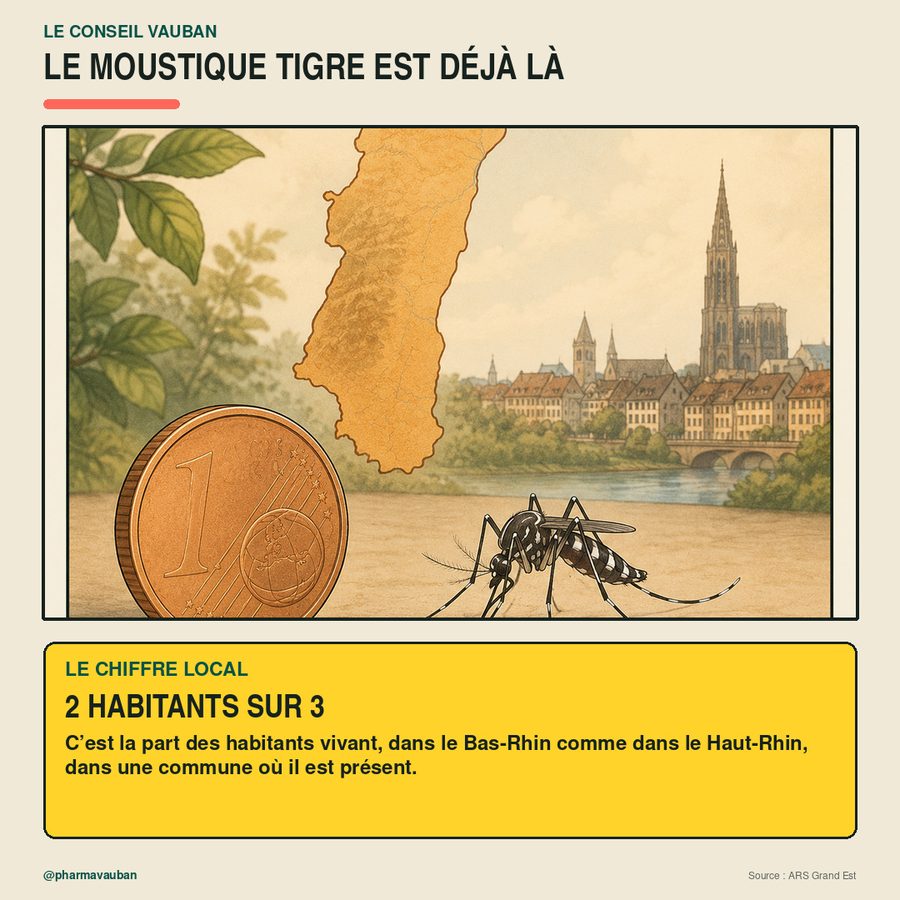 Le moustique tigre n'a pas besoin d'une piscine : une soucoupe, un seau ou un arrosoir avec un fond d'eau lui suffisent pour se développer. Le bon réflexe, une fois par semaine : vider les soucoupes, retourner les seaux et les arrosoirs, vérifier les gouttières. — image 2 sur 8