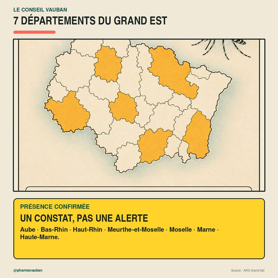 Le moustique tigre n'a pas besoin d'une piscine : une soucoupe, un seau ou un arrosoir avec un fond d'eau lui suffisent pour se développer. Le bon réflexe, une fois par semaine : vider les soucoupes, retourner les seaux et les arrosoirs, vérifier les gouttières. — image 3 sur 8